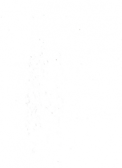 psvNiXfHaGww2Adb.jpeg