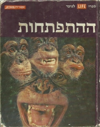 uXbzq21pImZ6qQUT.jpeg